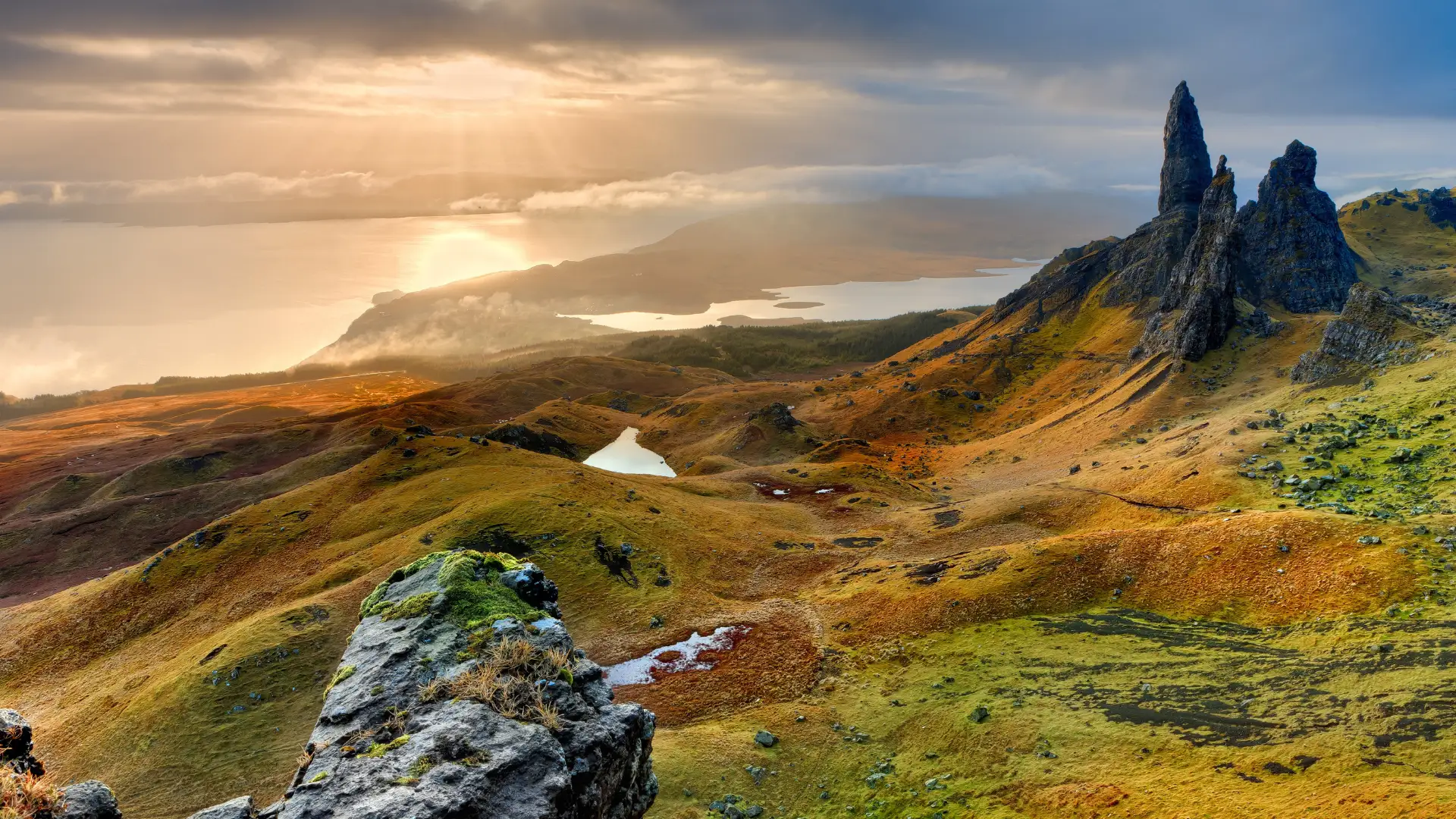8. Scotland