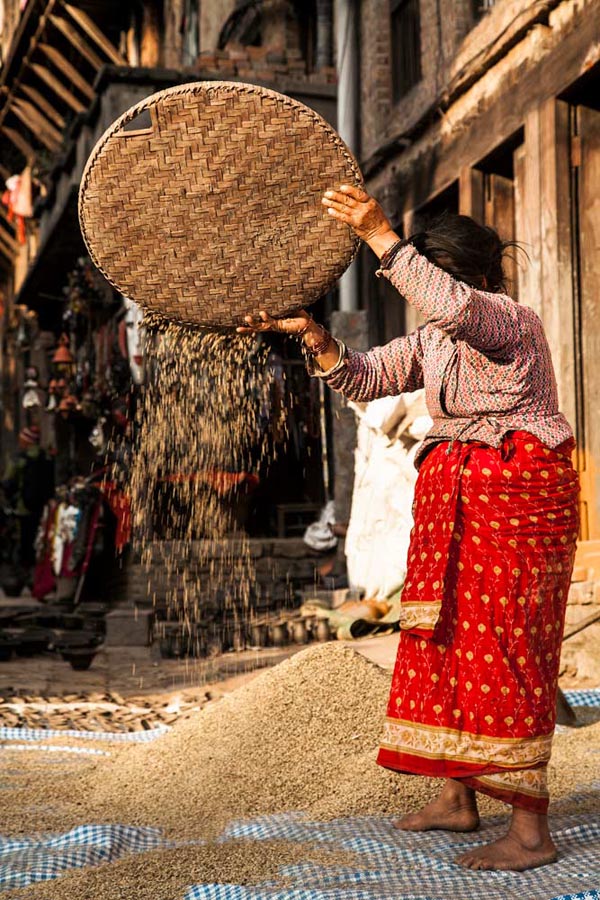 Bhaktapur Harvesting — Nepal Hi Tours