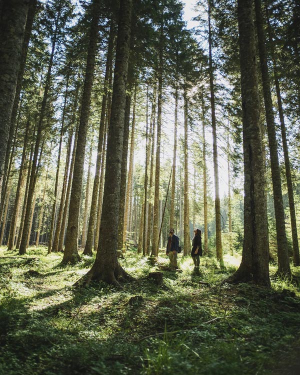 Green Slovenia