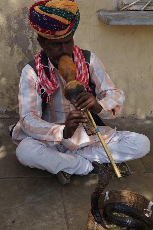 HiTours India Flute