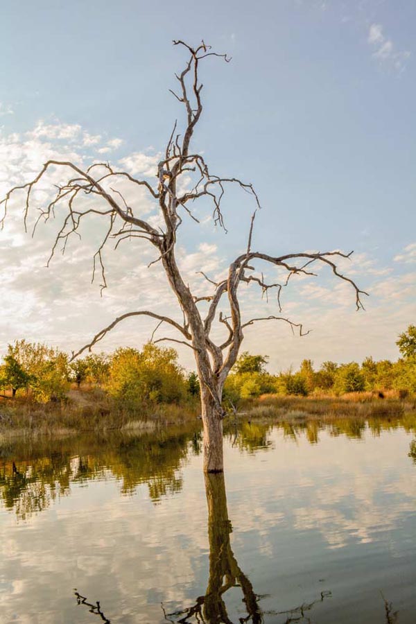 Lake Kariba Kariba Zimbabwe
