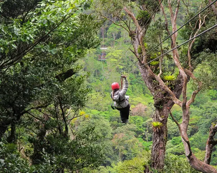 Monteverde