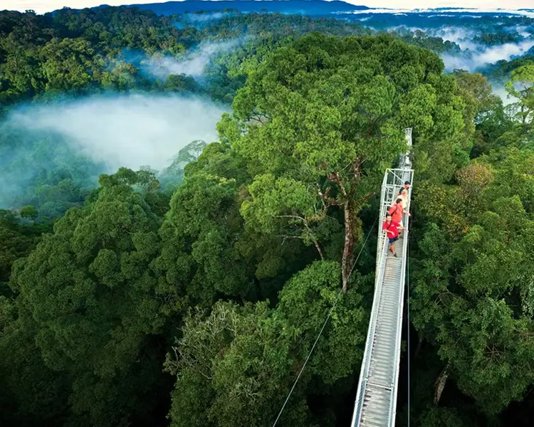 Monteverde1