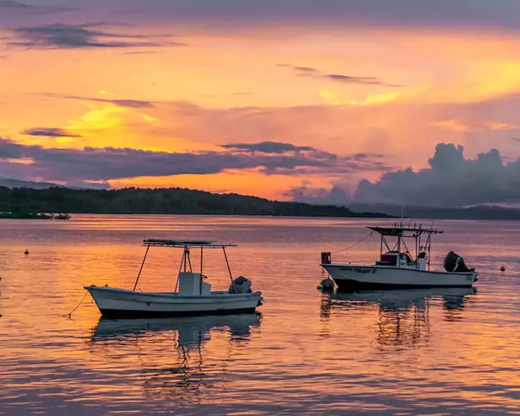 Osa Puerto Jimenez