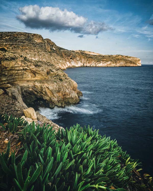 Rocky coast of Malta with plants