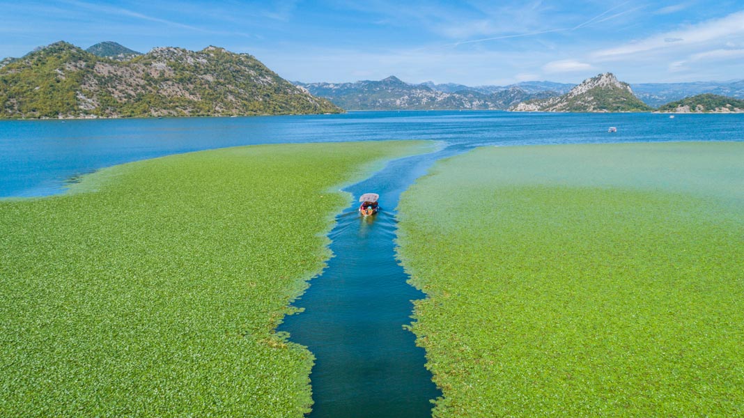 Skadar Lake Montenegro