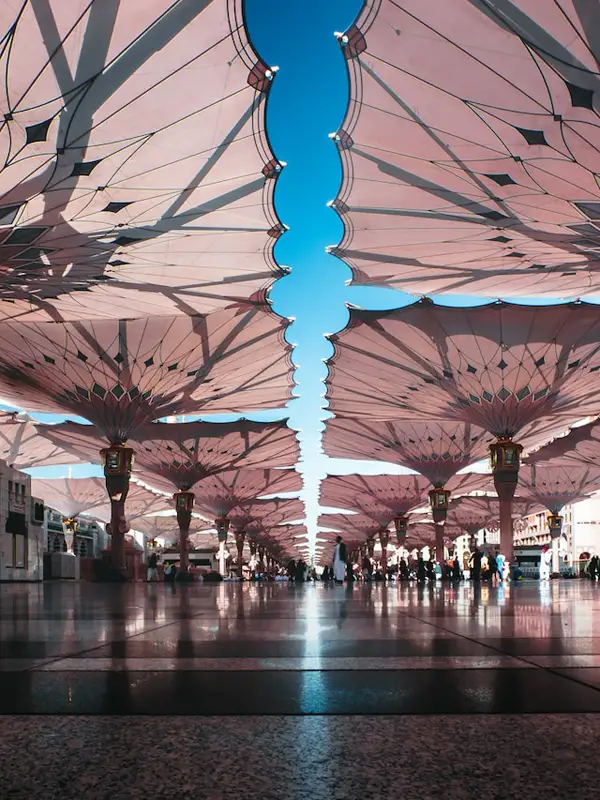 said alamri T8FuXFvGLMU unsplash