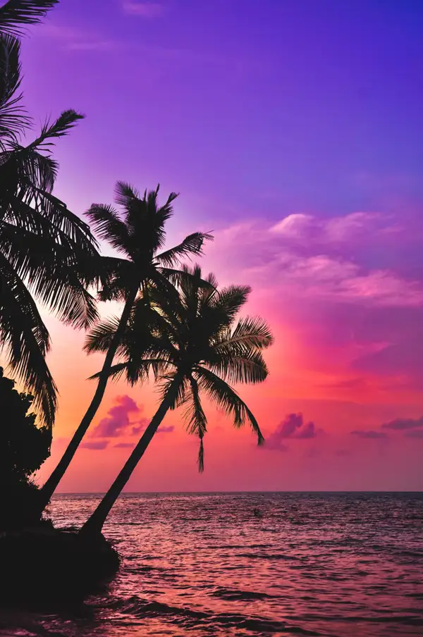 saiph muhammad CSs8aiN LkI unsplash scaled